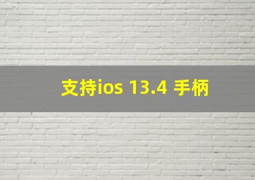 支持ios 13.4 手柄